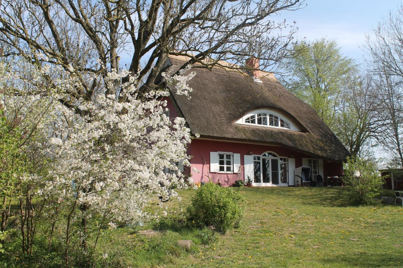 Altes Waschhaus Krakvitz Apartment Putbus Bagian luar foto