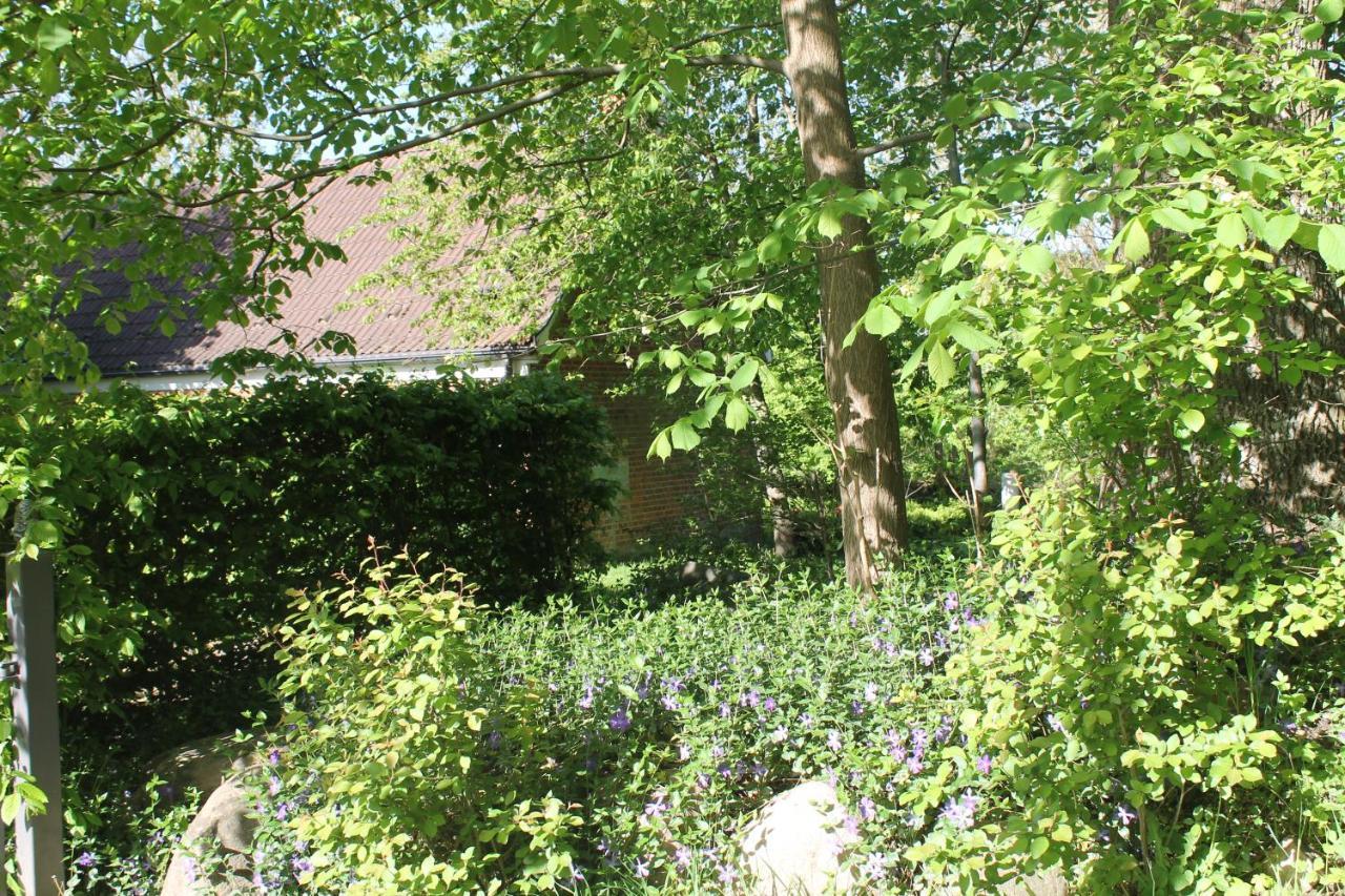 Altes Waschhaus Krakvitz Apartment Putbus Bagian luar foto